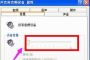 电脑无声的解决方法（轻松解决电脑无声问题）