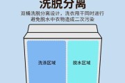洗衣机何时进入中国市场？对中国家庭生活产生了哪些影响？