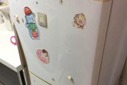 夏普冰箱灯不亮，原因解析与修复方法（探寻夏普冰箱灯不亮的可能原因）