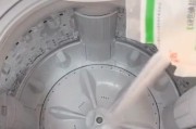 家庭清洗洗衣机的方法（让您的洗衣机持久清洁如新）