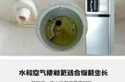 如何处理饮水机外表发黄问题（简单有效的清洁方法帮你恢复饮水机外表光洁亮白）