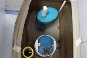 马桶底部漏水的修复方法（如何解决马桶底部漏水问题——修复指南）