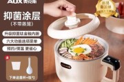 电饭煲釉面破损的修复方法（保护饭煲釉面）