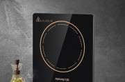 电磁炉总断电的原因和解决方法（探究电磁炉总断电的原因）