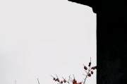 苹果手机拍摄光影效果如何？技巧是什么？