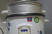 消除电饭煲蒸笼异味的有效方法（让您的蒸菜更加清香无异味）
