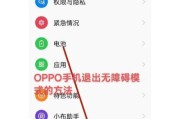 如何解决OPPO黑屏问题（一步一步教你排除OPPO手机黑屏的烦恼）