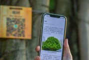 树木监测摄像头手机操作方法是什么？使用中遇到问题怎么解决？