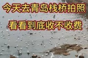 小米手机在青岛栈桥拍照技巧有哪些？