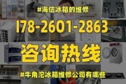 冰箱后面小孔漏水问题解决方法（修复冰箱后面小孔漏水的实用技巧）
