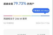 探究网速缓慢的原因（深入分析网络延迟与数据传输的问题）