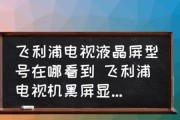 电视机出现黑屏的原因及解决办法（深入了解电视机黑屏现象）