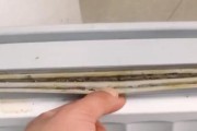 冰箱发霉了怎么办？有效清理方法有哪些？