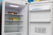 冰柜里的冰的处理方式（冷冻食品贮存与使用的技巧）