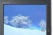 解决显示器闪烁故障的有效方法（为什么显示器会闪烁）