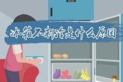 冰箱不停机的原因及解决方法（揭秘冰箱不停机的几个原因与解决方案）