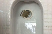 解决蹲便老是堵的问题（有效应对堵塞问题）