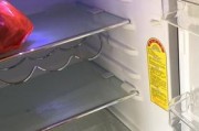 如何有效去除冰箱的异味（15个实用方法教你恢复冰箱的清新）