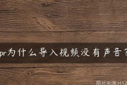 PR导入音频无声怎么办（解决PR导入音频无声问题的方法）