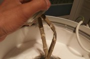 热水器水垢脱落的方法与技巧（掌握正确方法）