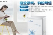 冰柜噪音问题解决方法（有效降低冰柜噪音的技巧和建议）