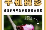 超远望长焦镜头如何在手机上使用？