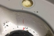 如何正确清洗好迪电热水器（简单易行的清洗方法）