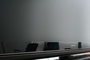 电视机显示屏变小了怎么办（解决方法及预防措施）