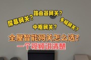没有中枢网关能用吗？设置方法是什么？