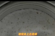 水卫仕清洁后洗衣机有异味的原因？