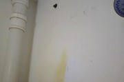 热水器加热器棒的拆卸方法是什么？拆卸过程中可能遇到哪些问题？