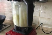 破壁机打汁漏水解决方法（掌握这些技巧）
