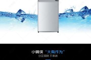 冰柜未经适当处理的危害（探索冰柜处理的重要性与方法）