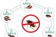 电视机后面蟑螂怎么清理？有效方法有哪些？