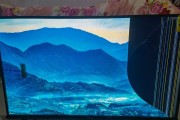 家用电视机黑屏问题的维修与解决方法（探索家用电视机黑屏问题的原因及解决办法）