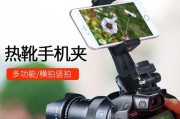 显示器插上去灯不亮怎么办（解决显示器无法亮灯的常见问题及方法）