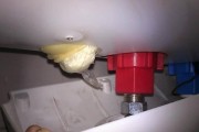 热水器管道出水太慢的解决方法（提升热水器出水速度的有效措施）