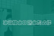 冰箱小孔堵上的实用方法（保持食物新鲜不流失的小技巧）