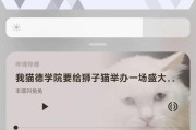 小米13手机倾听功能如何关闭？倾听功能的关闭方法是什么？