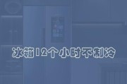 冰箱没有声音不制冷（了解冰箱故障原因及简单修复技巧）