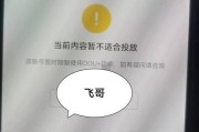 抖音国际版刷不出来视频怎么办（解决抖音国际版无法播放视频的10个小技巧）