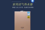 沼气热水器不工作的原因及解决方法（故障排查与维修技巧）