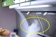 清洗油烟机排出的烟味，轻松享受清新厨房环境（无烟生活）