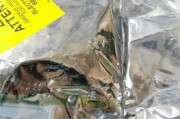 无线网络扩展指南