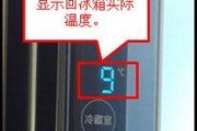 冰箱内灯不亮的原因及解决方法（探究冰箱灯亮不起来的常见问题及解决方案）