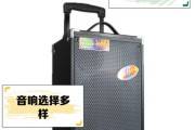 特美声音箱电池切换方法是什么？