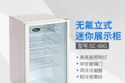 白雪冰柜漏水问题的探究（分析白雪冰柜漏水的原因及解决方法）