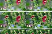 引闪器佳能光圈调节步骤是什么？