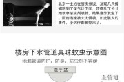 洗衣机地漏溢水的处理方法（解决洗衣机漏水问题的实用技巧）