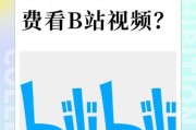 如何轻松下载Bilibili视频到电脑（分享Bilibili下载视频的方法及技巧）